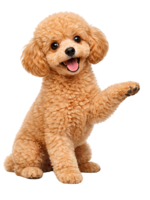 footer image-Photoroom